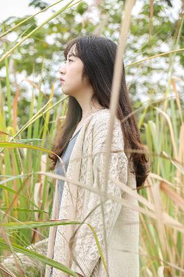 寡妇游戏电影在线观看