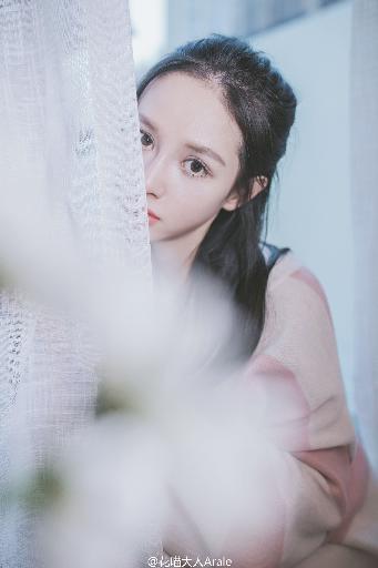 妻子的姐妹免费版电视剧大全